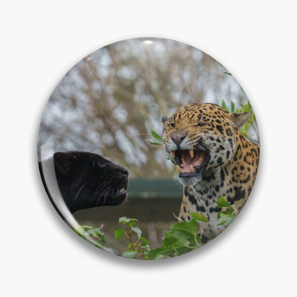 Item preview, Jaguar Pair designed and sold by rawshutterbug.