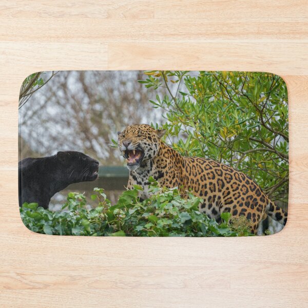Item preview, Jaguar Pair designed and sold by rawshutterbug.