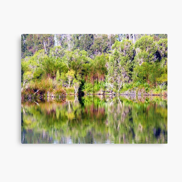 Untitled Canvas Print