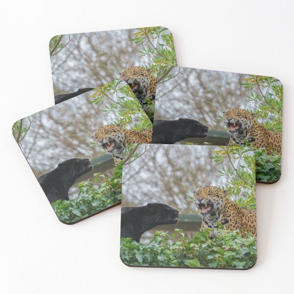 Item preview, Jaguar Pair designed and sold by rawshutterbug.