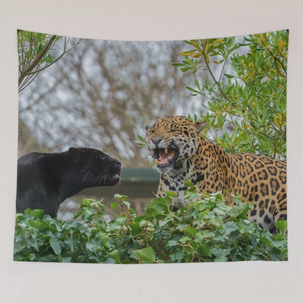 Item preview, Jaguar Pair designed and sold by rawshutterbug.