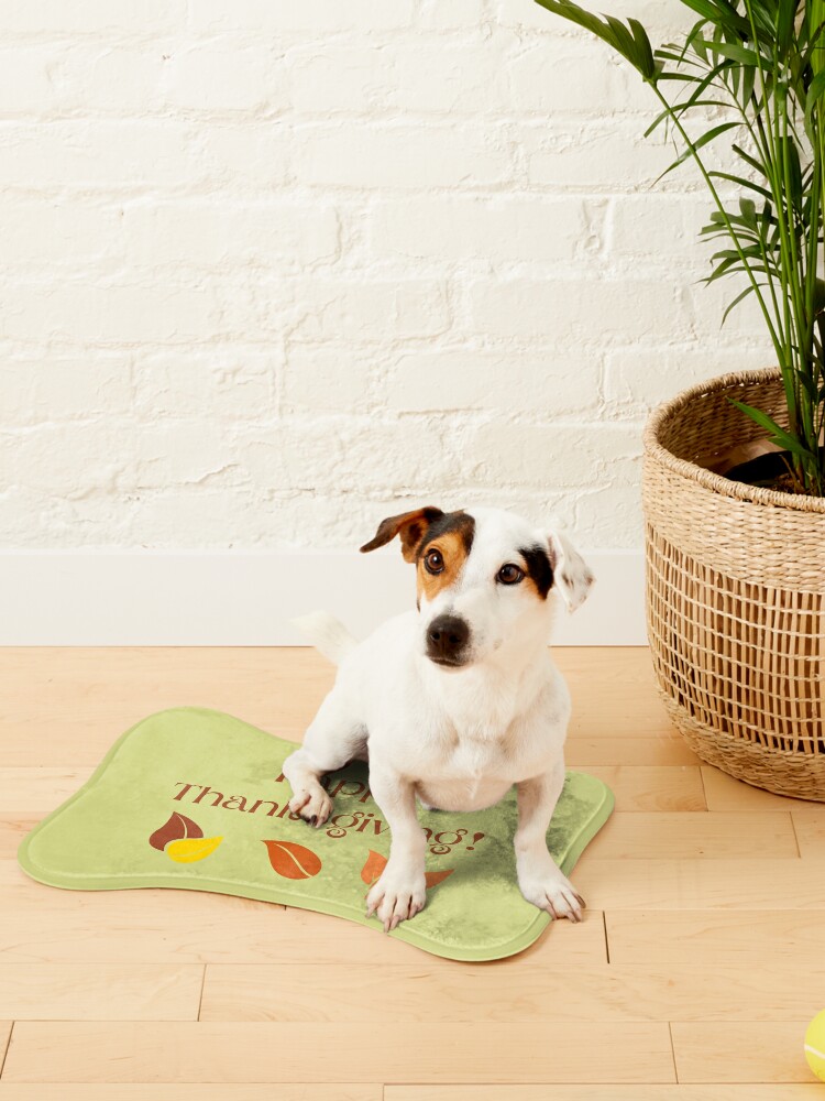 Disover Happy Thanksgiving Leaves Light Pet Mat