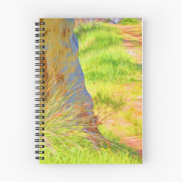 Item preview, Path designed and sold by DVJPhotography.