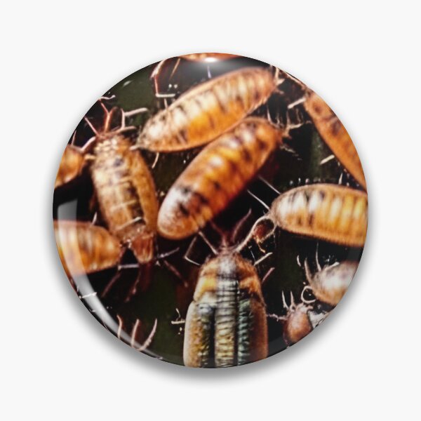 Item preview, Roaches designed and sold by Gaspar Avila.