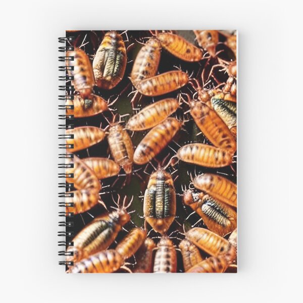 Item preview, Roaches designed and sold by Gaspar Avila.
