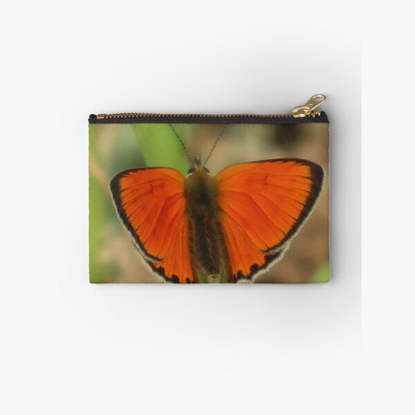 Item preview, Scarce Copper Butterfly Lycaena virgaureae designed and sold by beavo.
