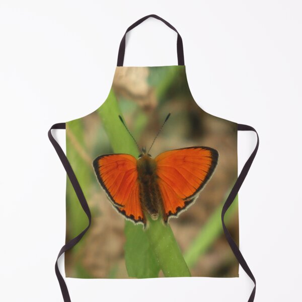 Item preview, Scarce Copper Butterfly Lycaena virgaureae designed and sold by beavo.