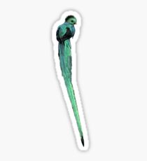Resplendent Quetzal Sticker