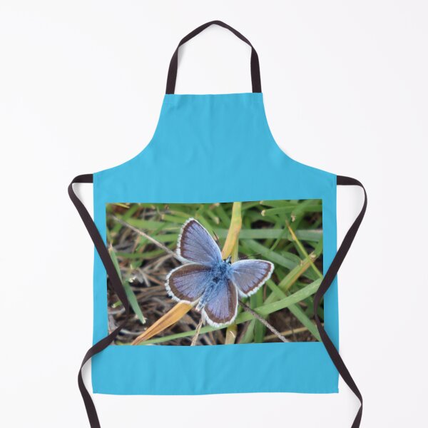 Item preview, Alpine Blue butterfly (Albulina orbitulus). designed and sold by beavo.