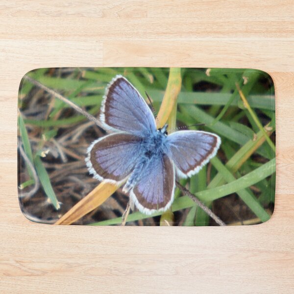 Item preview, Alpine Blue butterfly (Albulina orbitulus). designed and sold by beavo.