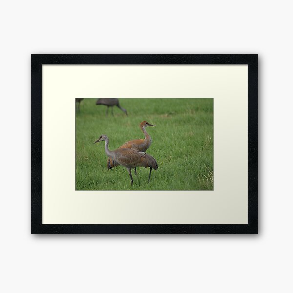 Leaving Alaska Framed Art Print