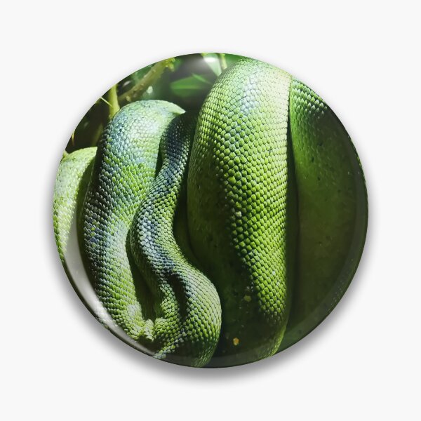 Item preview, Green Tree Python designed and sold by Bluesrose.