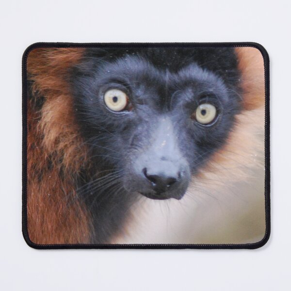 Item preview, Red Ruffed Lemur designed and sold by Lorna Mulligan.