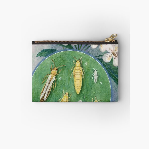 Item preview, Plague Thrips designed and sold by BiosecurityColl.
