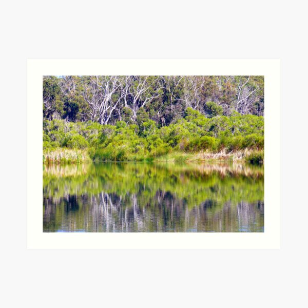 Untitled Art Print