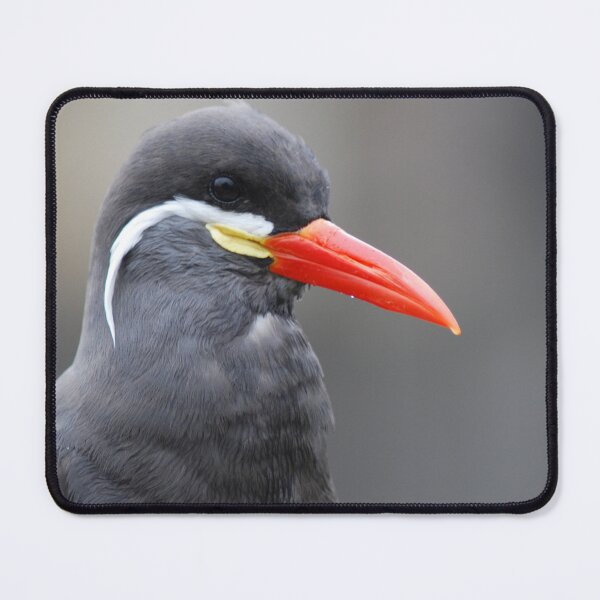 Item preview, Inca Tern designed and sold by Lorna Mulligan.