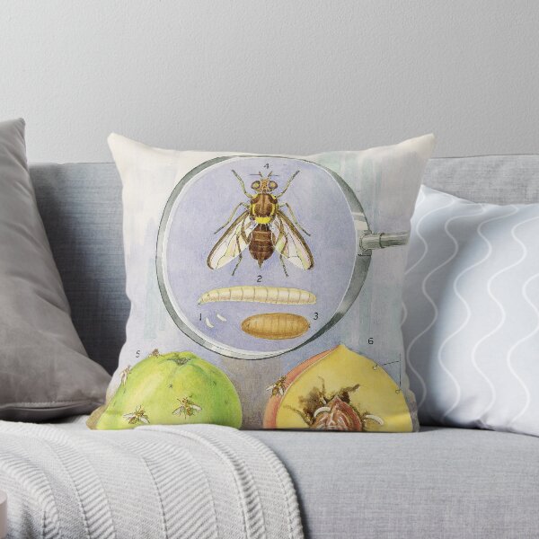 Queensland Fruit Fly Throw Pillow