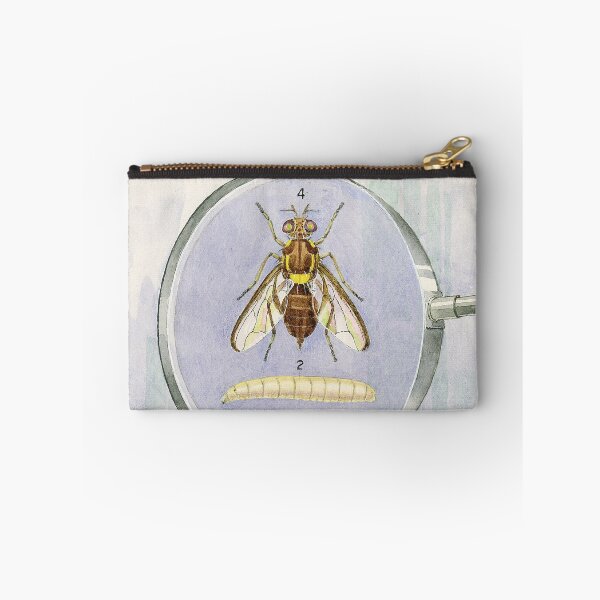 Item preview, Queensland Fruit Fly designed and sold by BiosecurityColl.