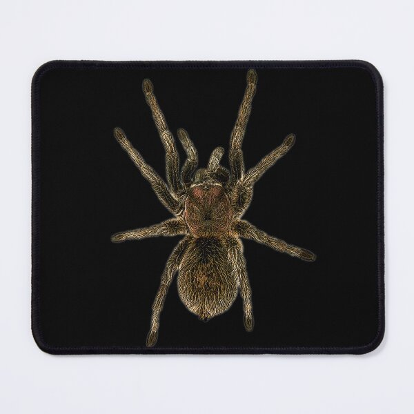 Item preview, Tarantula Owner Cute Pet Spider designed and sold by JRRTs.