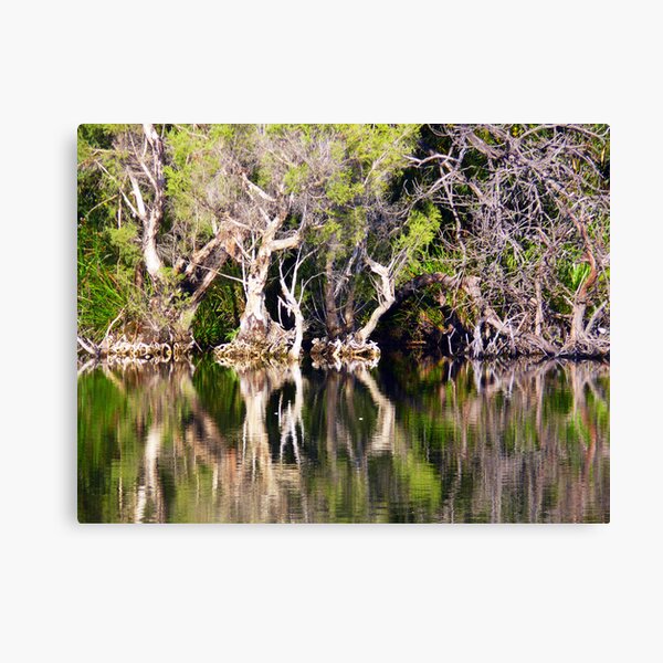Untitled Canvas Print