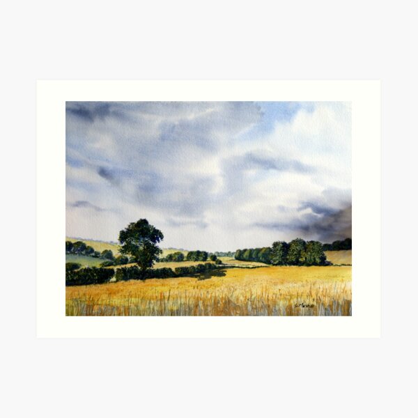 Fields of Gold Art Print