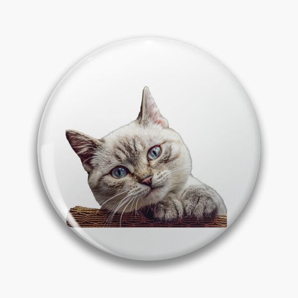 Aperçu de l'œuvre joli chat créée et vendue par Pelastore.
