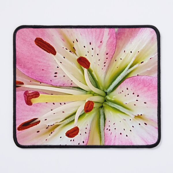 Item preview, Pink lily flower designed and sold by Pixtela ..