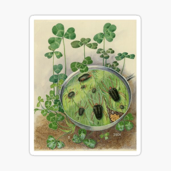 Item preview, Red-Legged Earth Mite designed and sold by BiosecurityColl.