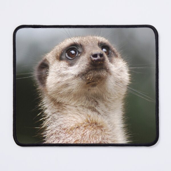 Item preview, Meerkat designed and sold by Lorna Mulligan.