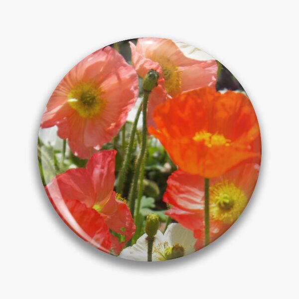 Item preview, Carnival of Flowers poppies designed and sold by Dominique Tassell.
