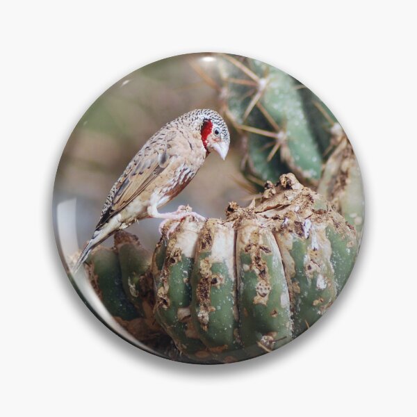 Artikelvorschau, Cut-Throated Finch entworfen und verkauft von Lorna Mulligan.