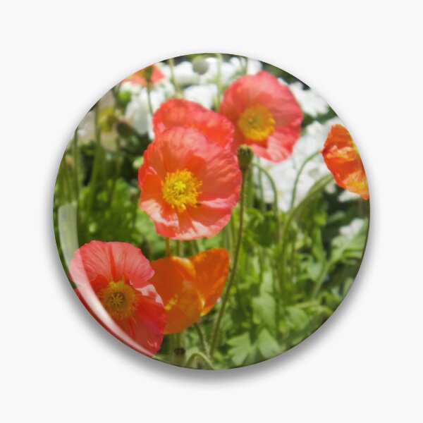 Item preview, Carnival of Flowers poppies designed and sold by Dominique Tassell.