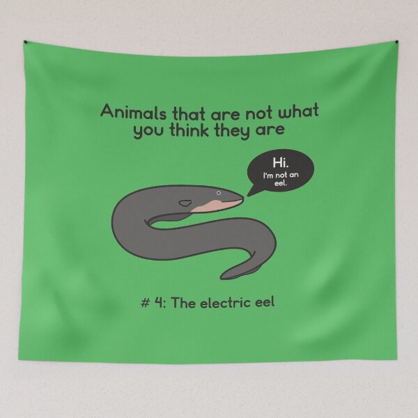 Item preview, Animals That Are Not What You Think They Are: The Electric Eel designed and sold by Venturesome Victrix.