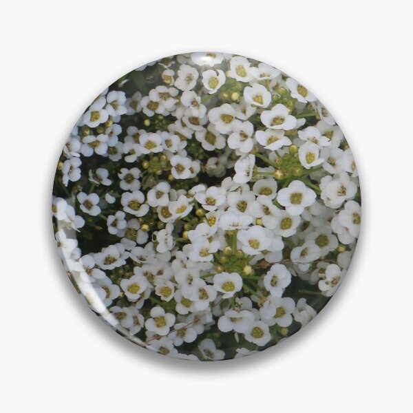 Item preview, Carnival of Flowers photography designed and sold by Dominique Tassell.