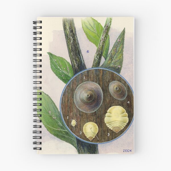 Item preview, San Jose' Scale designed and sold by BiosecurityColl.