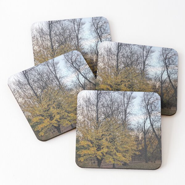 Item preview, Squirrel Nest North Woods in Autumn  designed and sold by UPNortheren.
