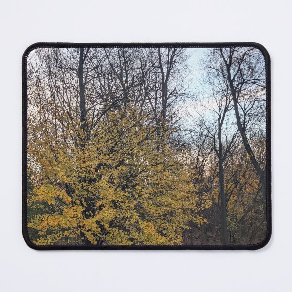 Item preview, Squirrel Nest North Woods in Autumn  designed and sold by UPNortheren.