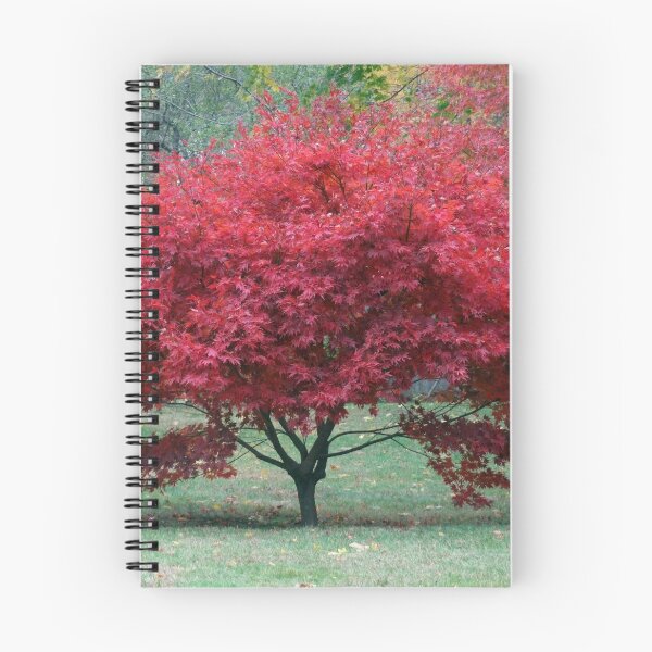 Item preview, Red Dwarf Maple Tree designed and sold by Maureen Zaharie.