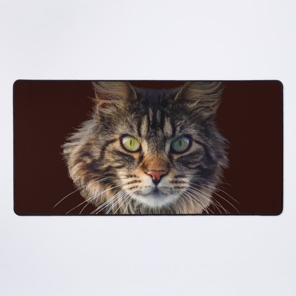 Item preview, MAINE COON CAT designed and sold by Danicus666.