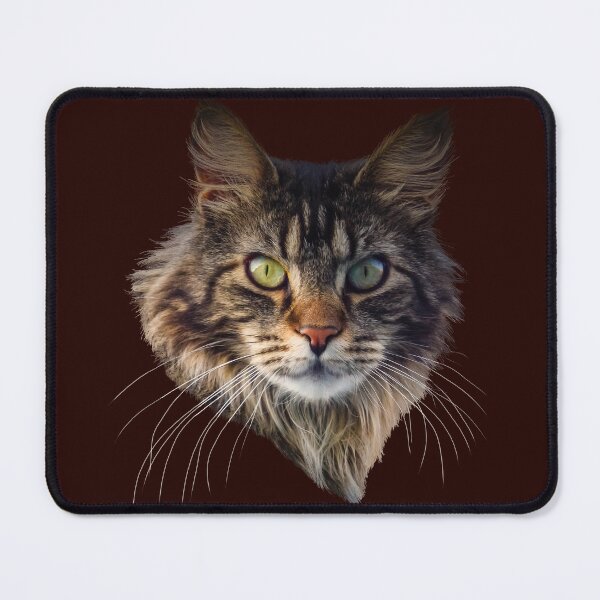 Item preview, GATO MAINE COON designed and sold by Danicus666.