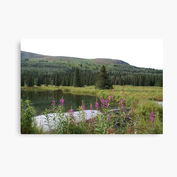 Beaver Dam Canvas Print