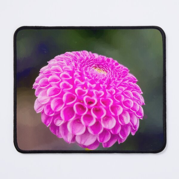 Item preview, Pink Pompon Dahlia Flower designed and sold by Tanya C  Smith.