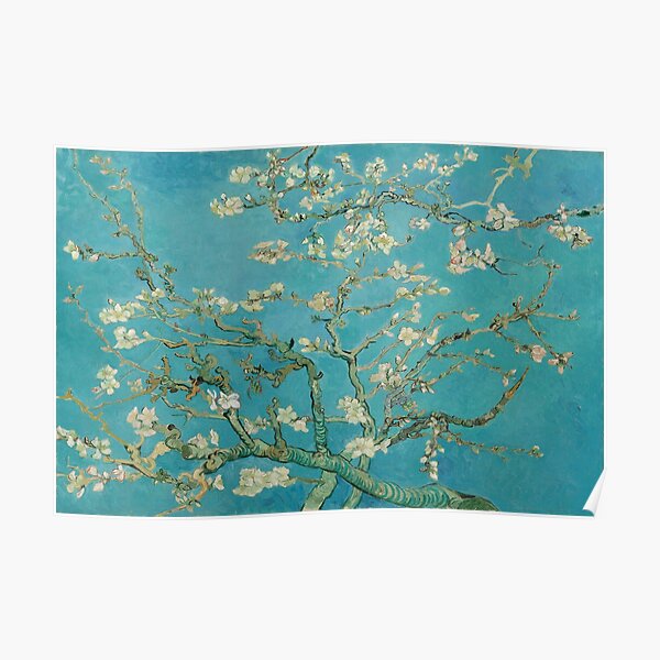 Van Gogh Almond Blossoms Poster