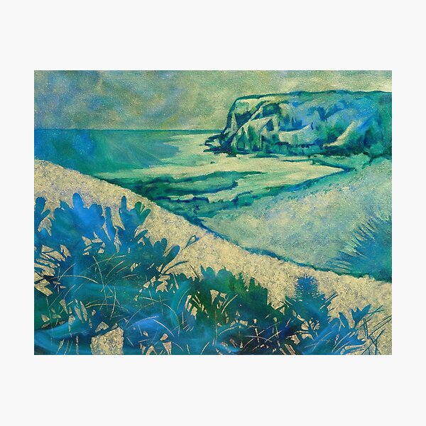 Headland at Boulder's Beach Photographic Print