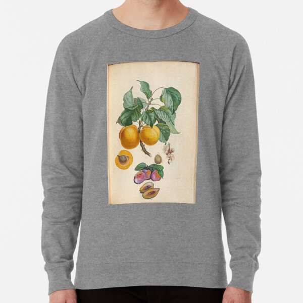 Sweet Fruit Lightweight Sweatshirt
