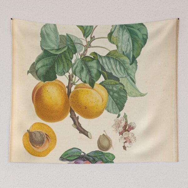 Item preview, Sweet Fruit designed and sold by Clyde J. Kell.