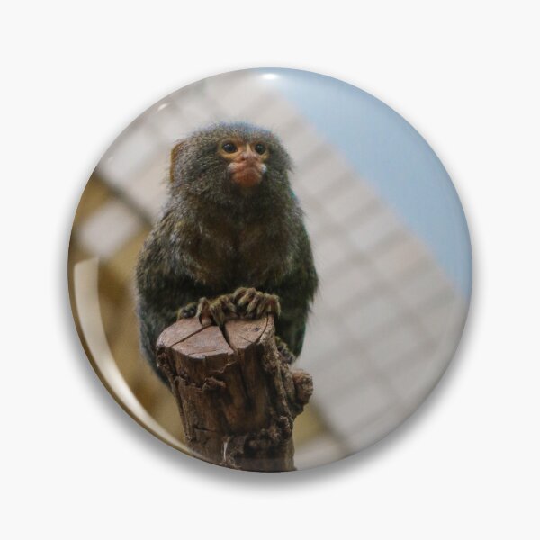 Item preview, Little Rascal designed and sold by Jacques Salisbury.