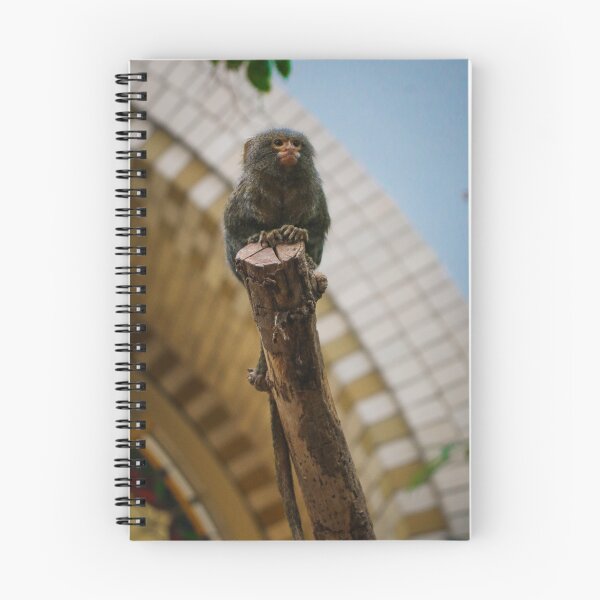 Item preview, Little Rascal designed and sold by Jacques Salisbury.
