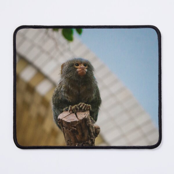 Item preview, Little Rascal designed and sold by Jacques Salisbury.