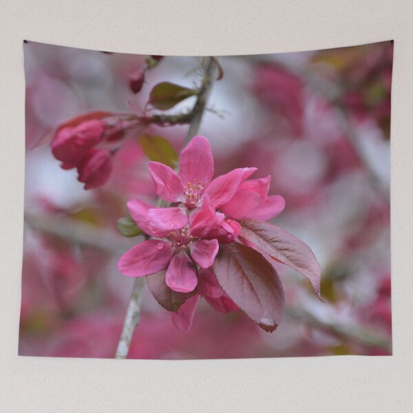Item preview, Blossom at Mclaren falls designed and sold by lizdomett.